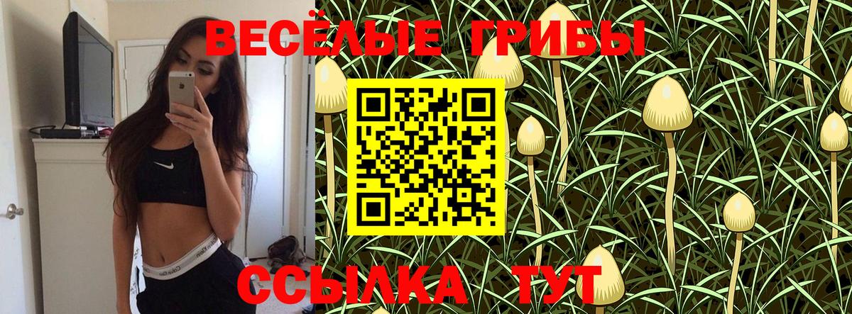 Галлюциногенные грибы Magic Shrooms  Галлюциногенные грибы Psilocybe  Бирск  Вход с VPN 